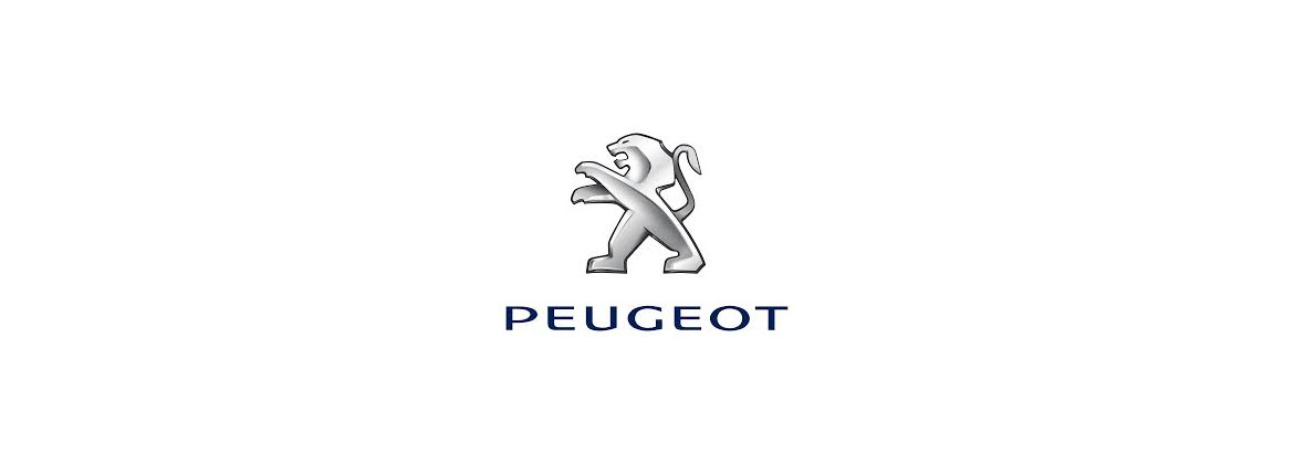 Outillage Peugeot 