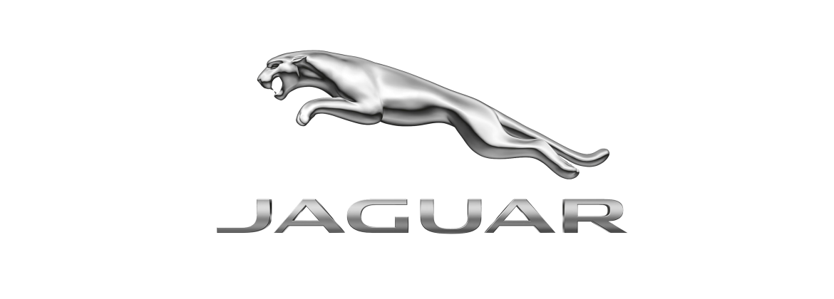 Allumage électronique Jaguar