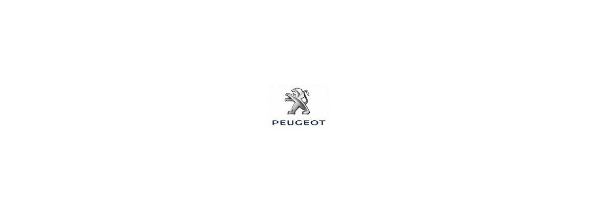 Peugeot | Elettrica per l'auto classica