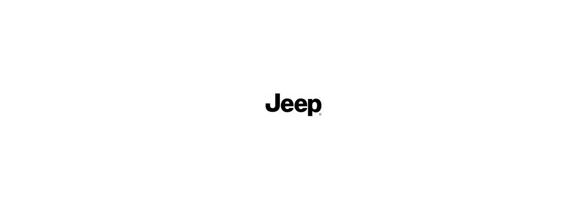 Vérin de capot Jeep 
